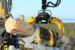 Stegmater_traktor_kesla_40lfe (9)