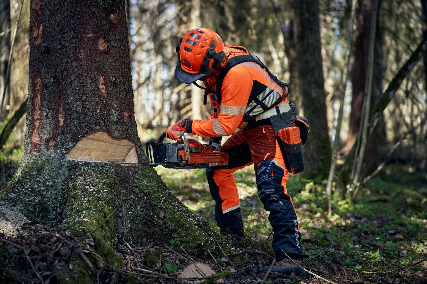 Husqvarna motorsag – robust, pålitelig og støttet av 25 000 forhandlere verden overHusqvarna motorsag – robust, pålitelig og støttet av 25 000 forhandlere verden over