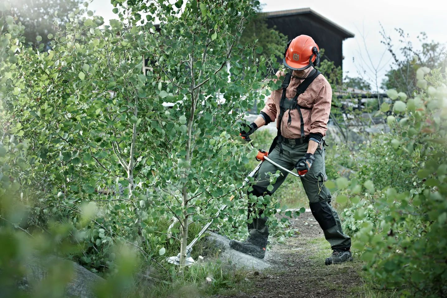 Finn ut alt om ryddesagene våreFinn ut alt om ryddesagene våre